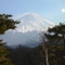 일본 갔을때 1탄 ( 풍경 사진 )