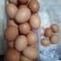 닭알 한근에 얼마인가요?